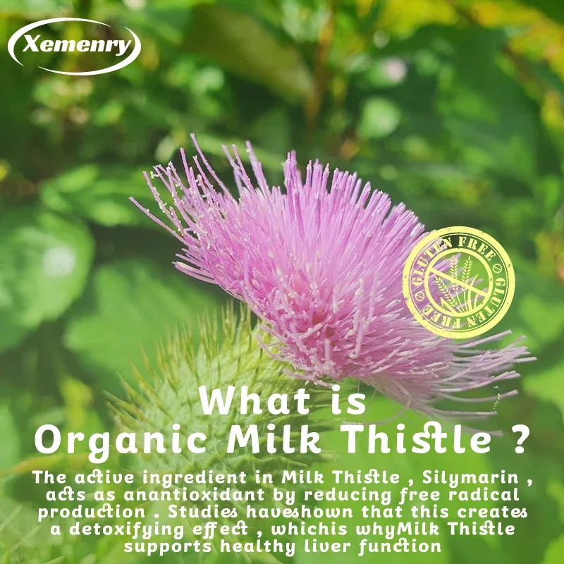 Milk Thistle Capsules 1000mg - - مراجعة Milk Thistle Silymarin وسعره