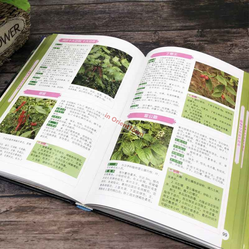 400 Common Herbal Plants Flavo - مراجعة Wellness Herbal Medicine وسعره