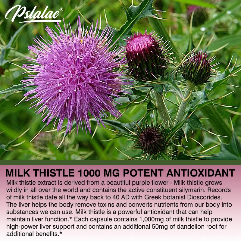 Natural Milk Thistle Supplemen - مراجعة Milk Thistle Silymarin وسعره