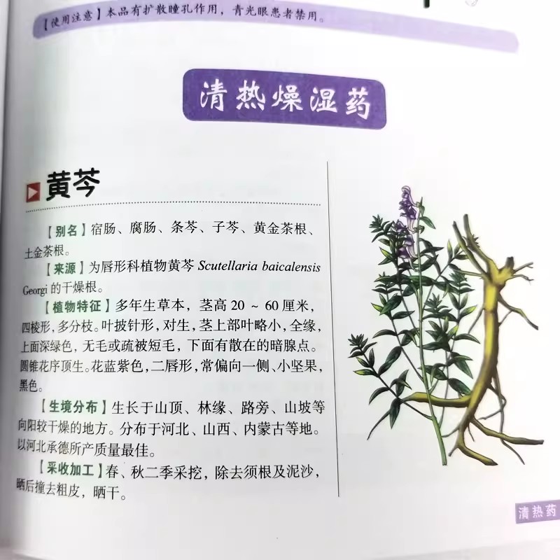 The Ancient Herbarium Holistic - مراجعة Wellness Herbal Medicine وسعره